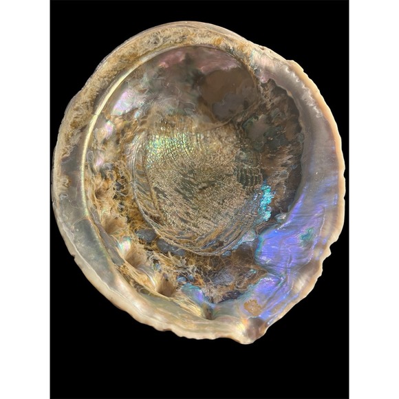 Other - Vintage Red Abalone Shell 8" x 7" Nautical Decor Beach (T45)